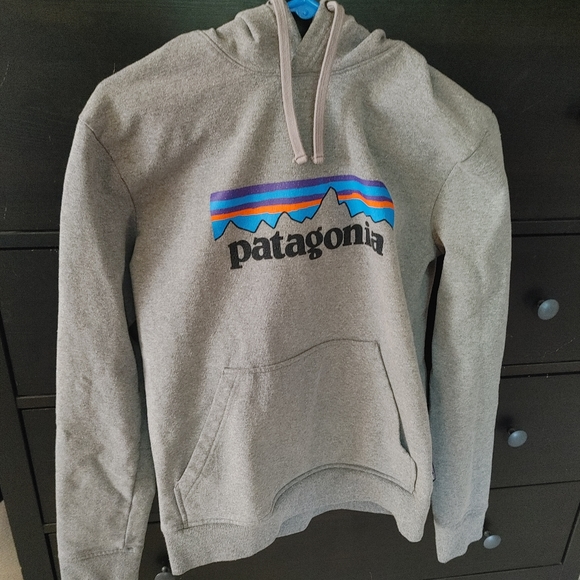 Patagonia Other - Patagonia hoodie